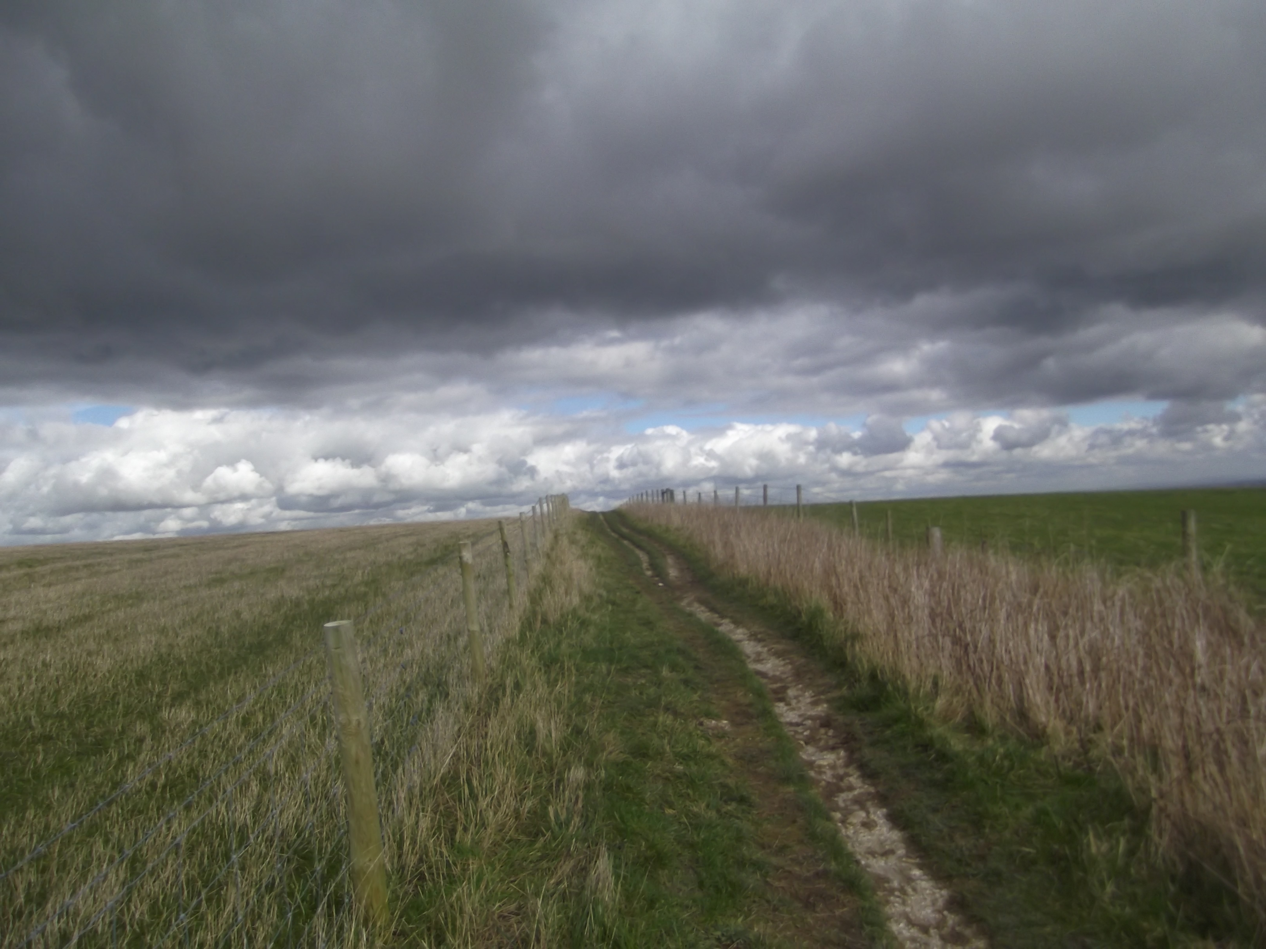 Au bout du chemin, tu ne savais trouver que des ciels. Tu disais : c'est l'horizon qui se dérobe, jamais les nuages.