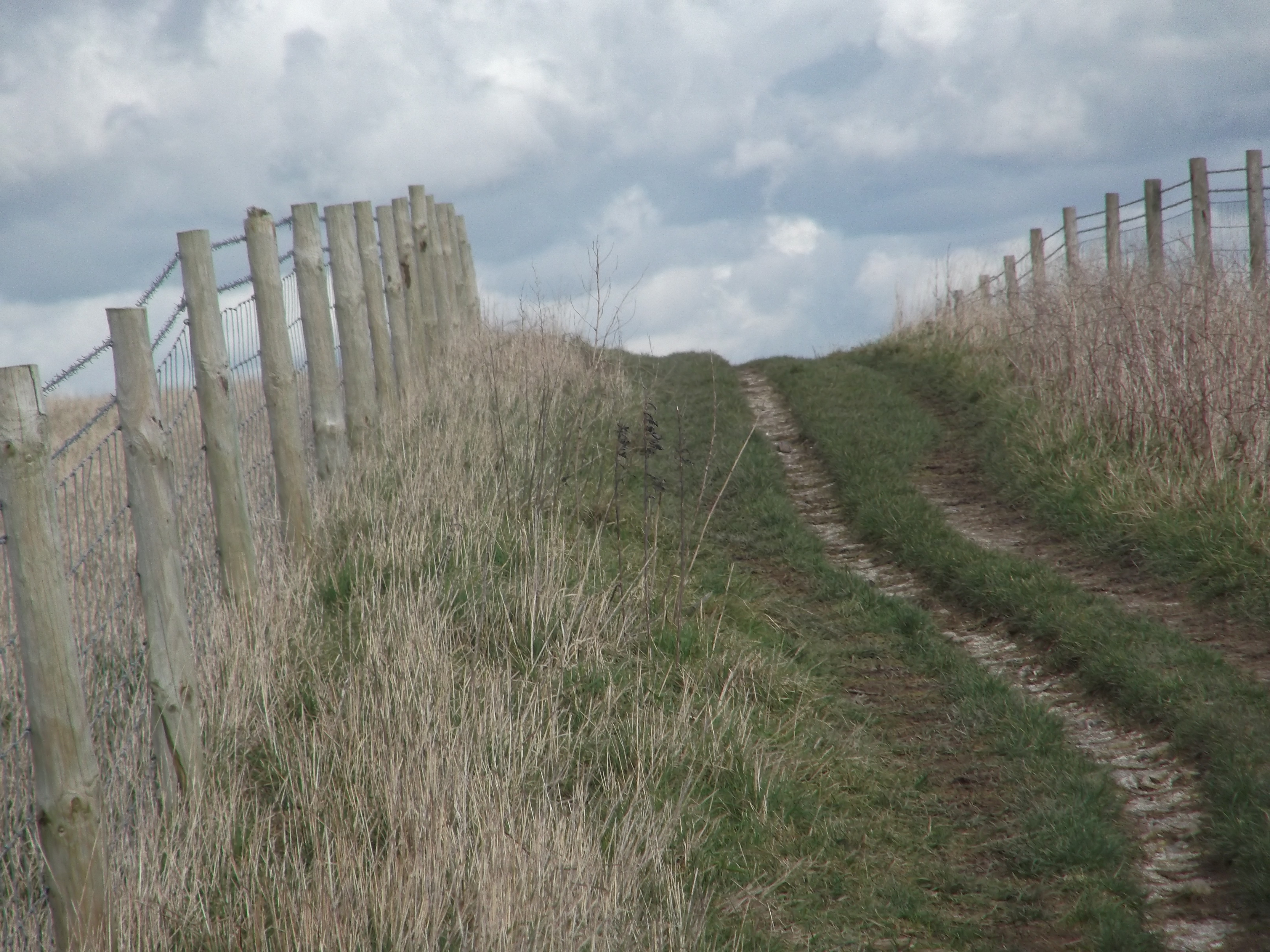 Marcher — tu parlais maintenant d'obstination plutôt que d'épuisement.